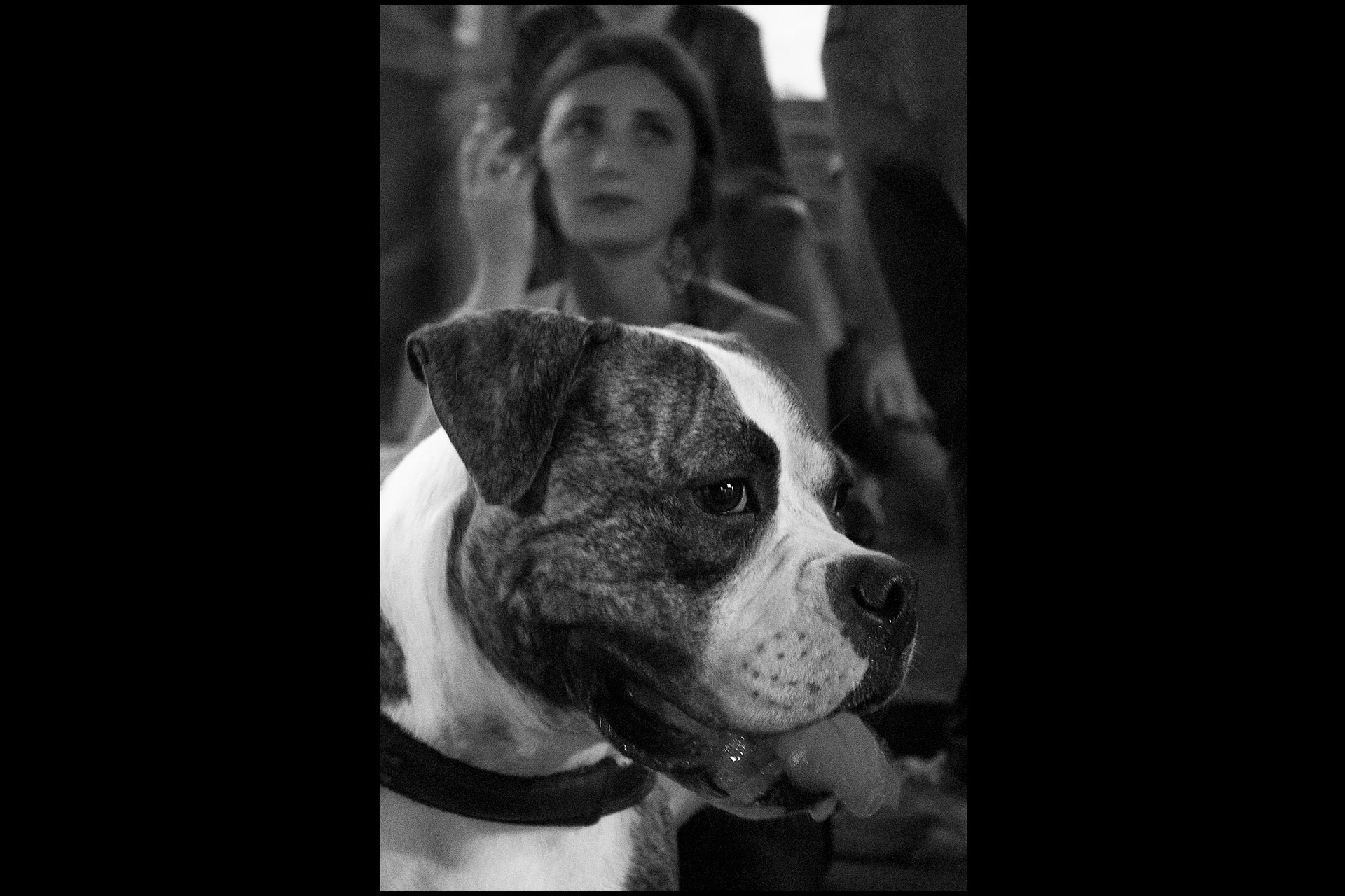 Black and White photo by Maria Covino photography