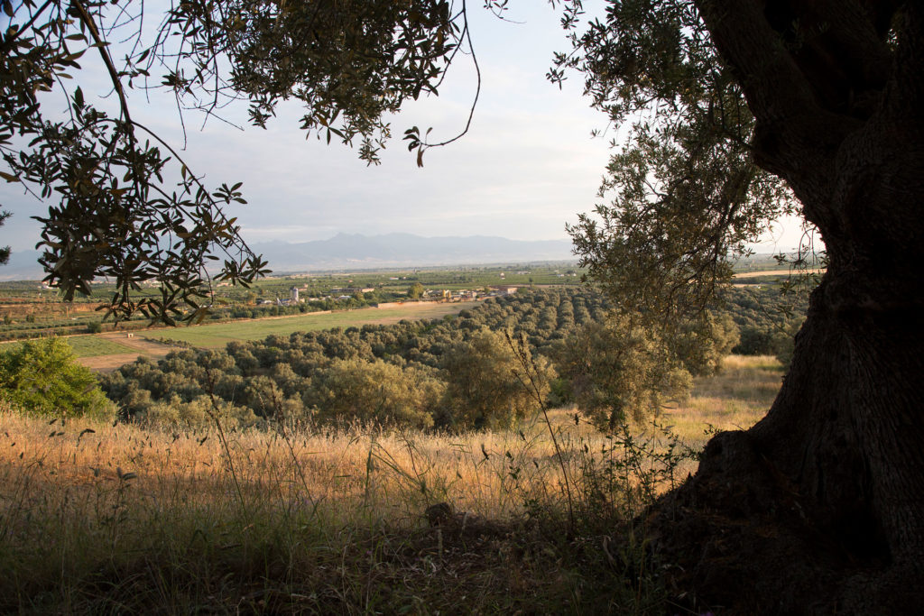 Professional photographer in Naples