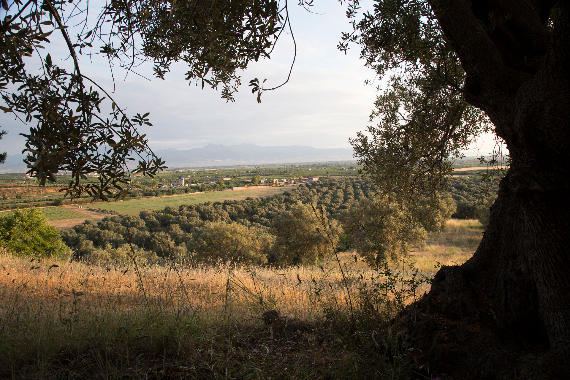 Professional photographer in Naples