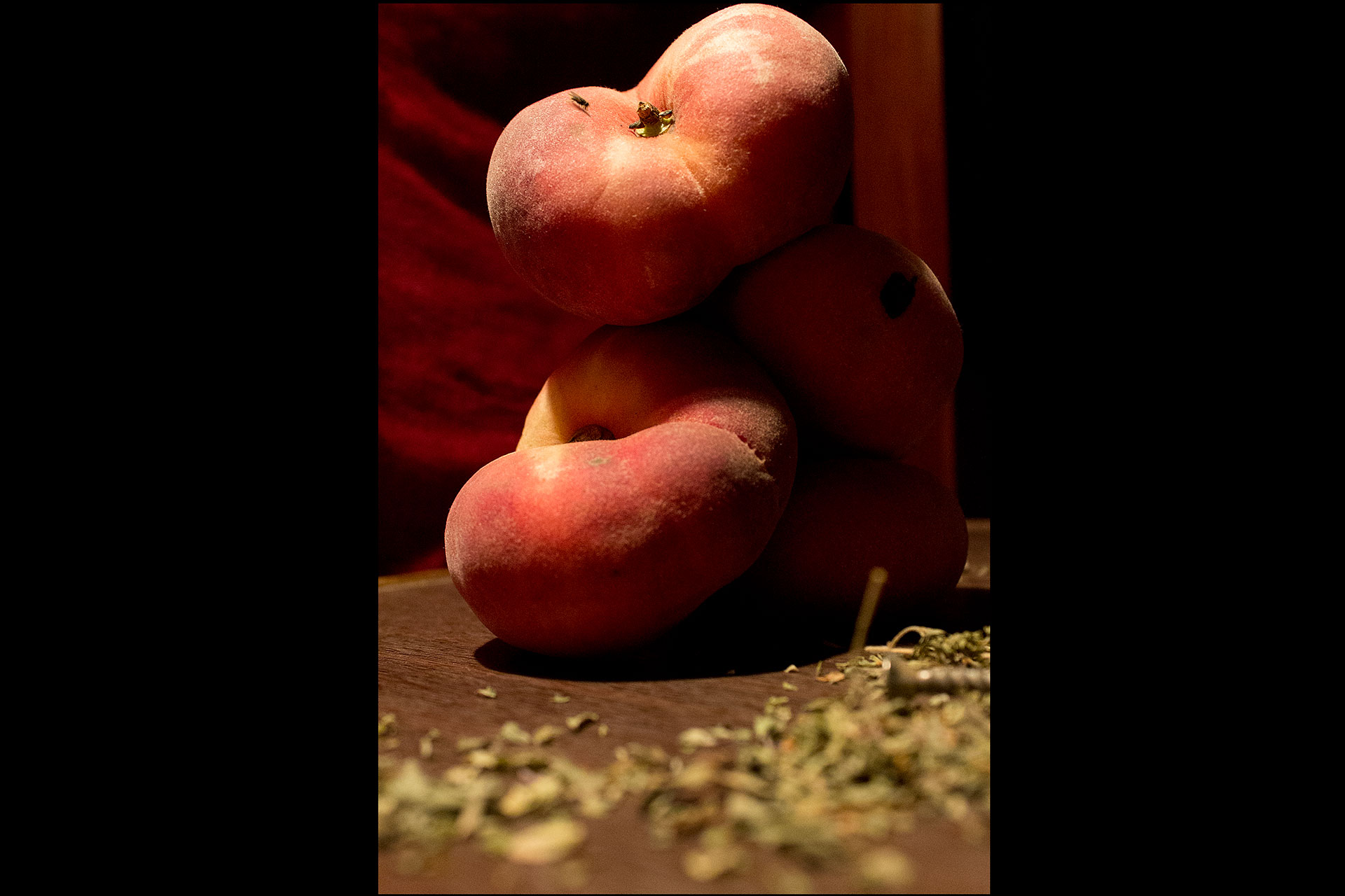 Foto Still Life