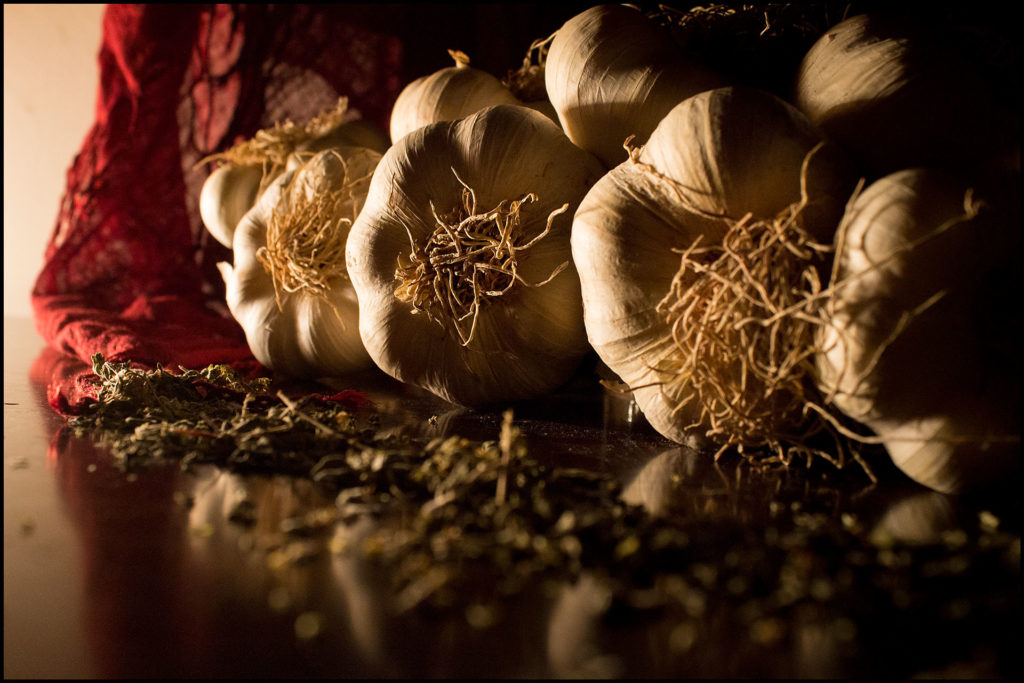 Maria Covino Photography